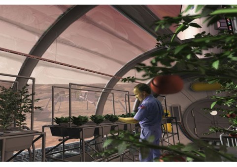 China-Plans-on-Expanding-Market-Gardens-Mars-and-the-Moon-via-Discovery-6a00d8341bf67c53ef017d3e7578ff970